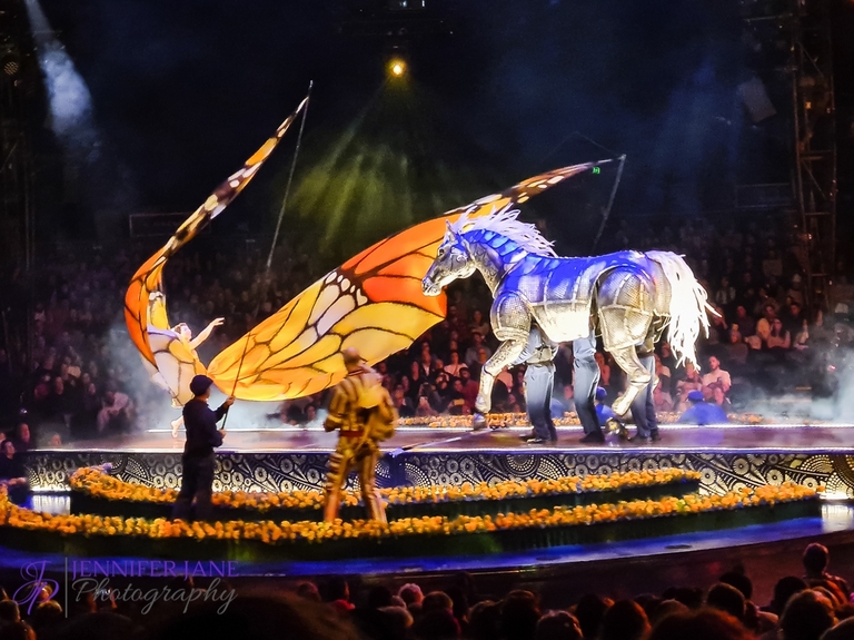 luzia cirque du soleil